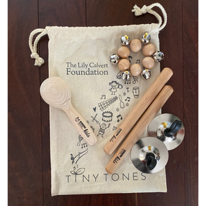 Lily's Music Therapy Kit